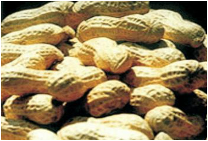 人生就是搏·(中国区)官方网站