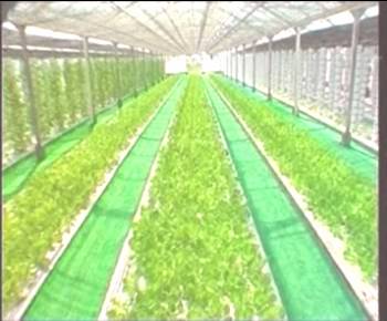 人生就是搏·(中国区)官方网站