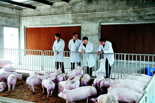 人生就是搏·(中国区)官方网站