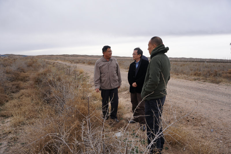 人生就是搏·(中国区)官方网站